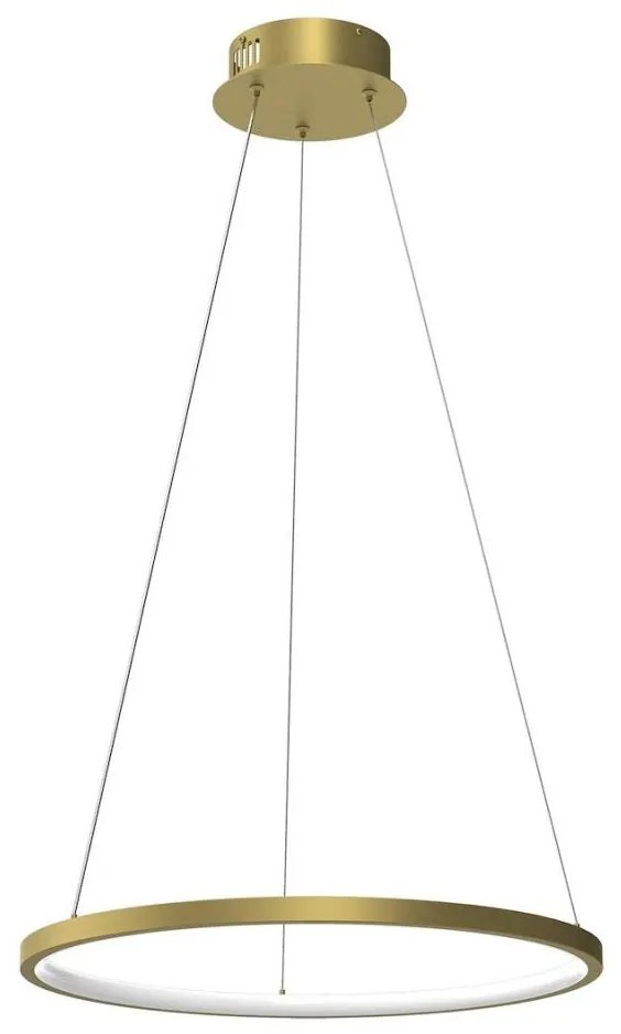 LED Luster na lanku HOOP LED/27W/230V pr. 50 cm 4000K zlatá