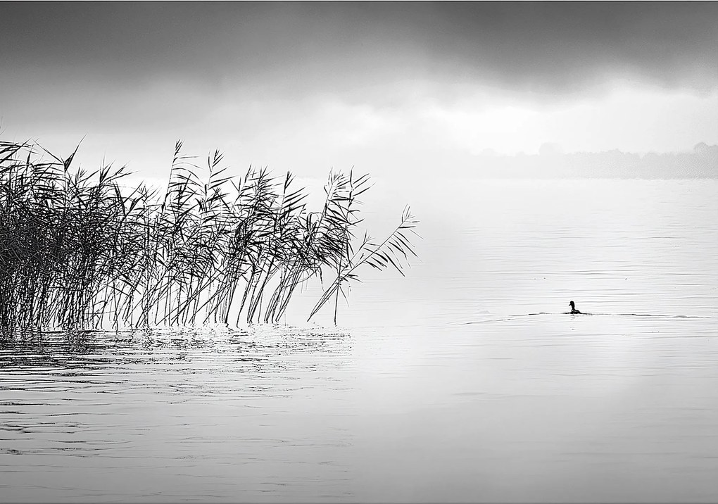 Plátno maľba By the Lake II