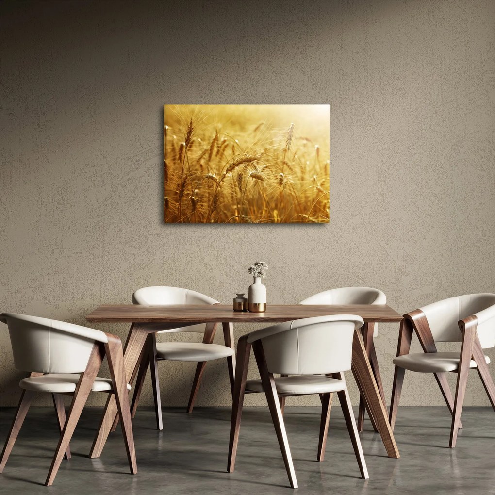 Obraz - Klasy obilia (70x50 cm)