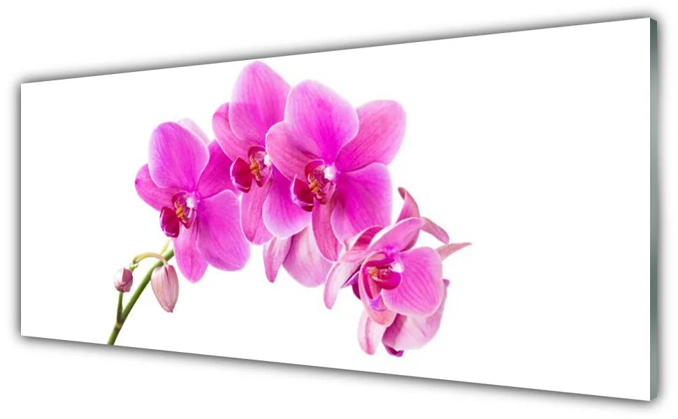 Obraz plexi Vstavač kvet orchidea 125x50 cm