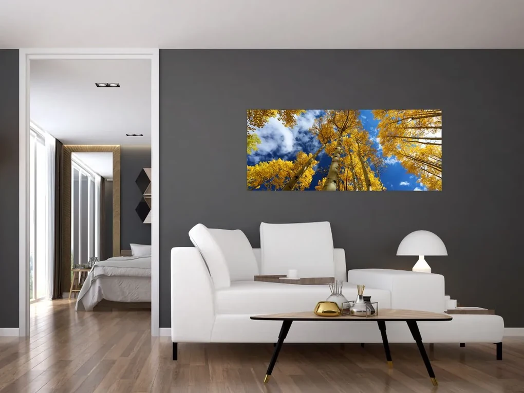 Obraz - Aspen (120x50 cm)