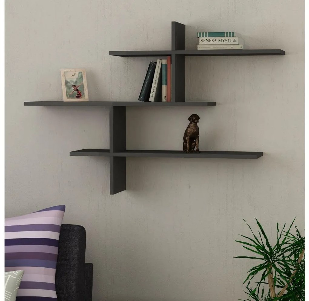 Nástenná polica LEO 80,5x123 cm antracit