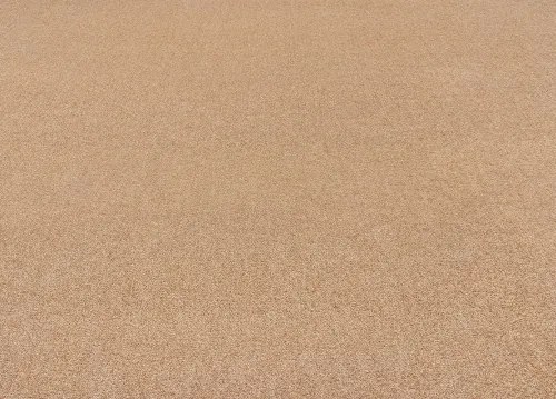 Koberce Breno Metrážny koberec AVELINO 57, šíře role 400 cm, oranžová