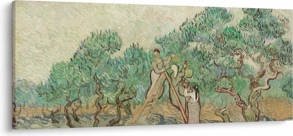 Obraz - Vincent van Gogh, The Olive Orchard, reprodukcia (120x50 cm)