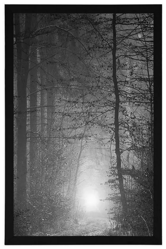 Plagát svetlo v lese v čiernobielom prevedení - 40x60 white