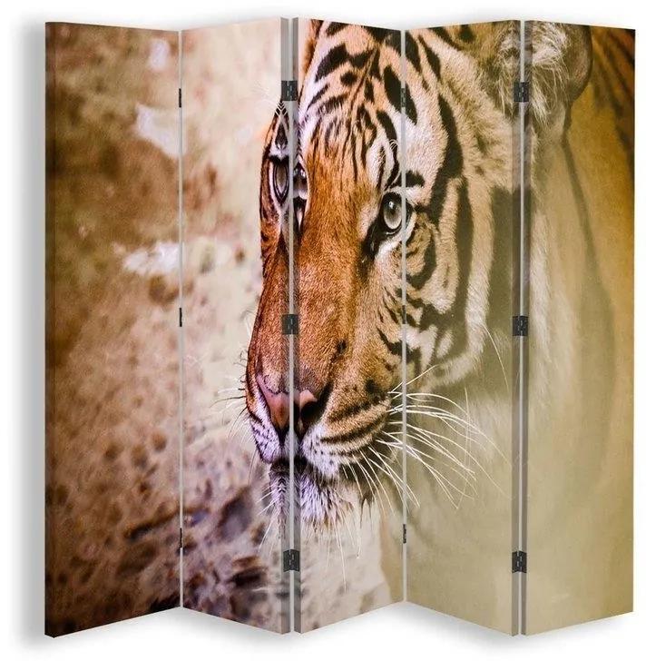Ozdobný paraván, Portrét tygra - 180x170 cm, päťdielny, obojstranný paraván 360°