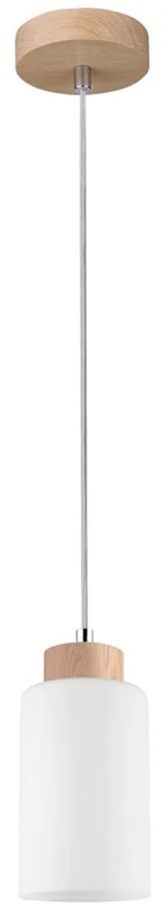 Spot-Light 1720174 - Luster na lanku BOSCO 1xE27/60W/230V