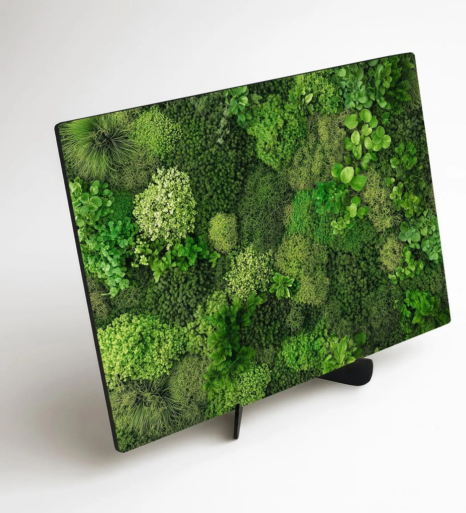 DUBLEZ | Tlačený machový obraz na stenu