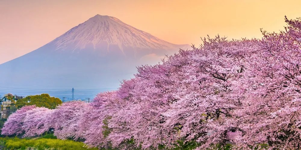 Obraz romantický pohľad na Japonsko