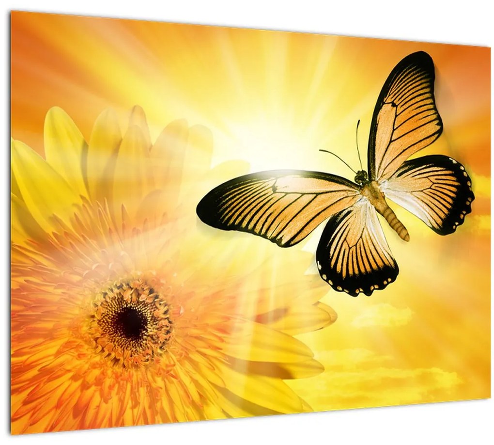 Obraz - Žltý motýľ s kvetom (70x50 cm)