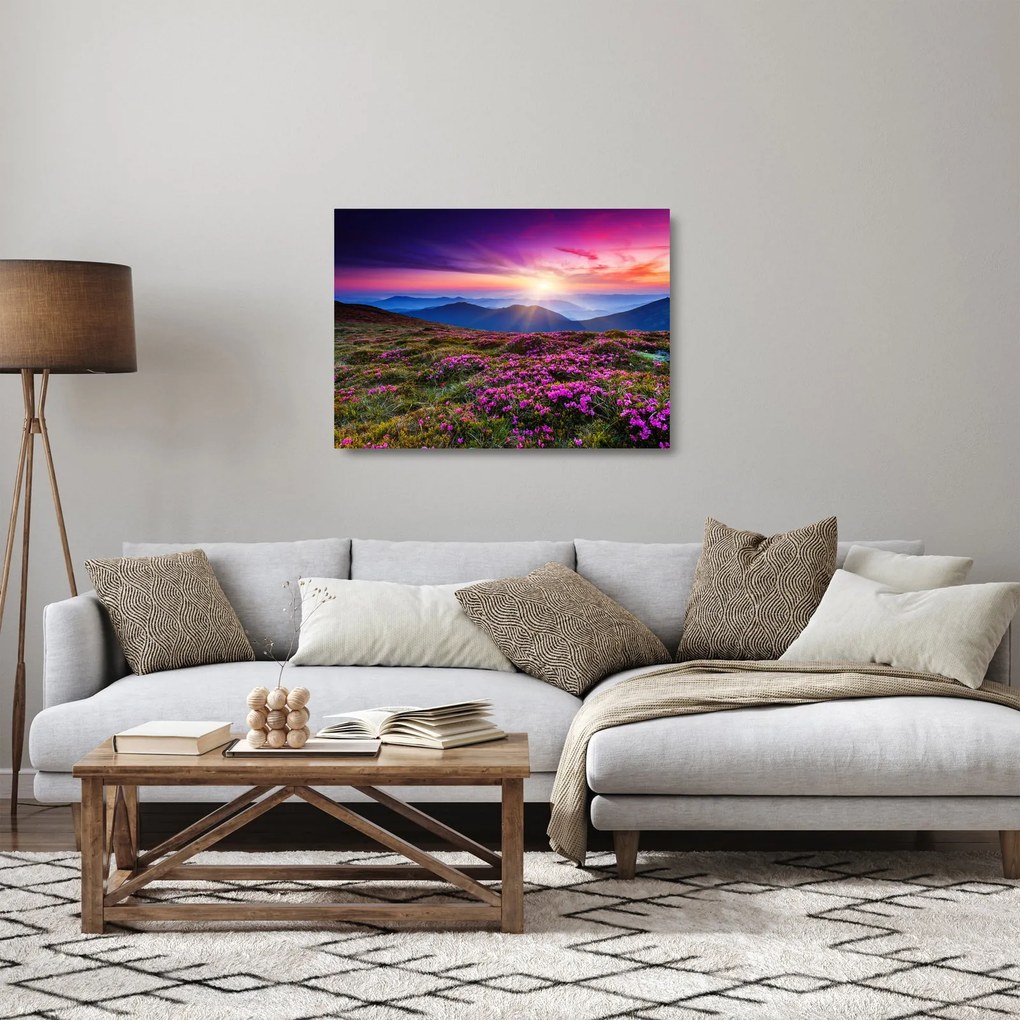 Sklenený obraz - Horská rozkvitnutá krajina (70x50 cm)