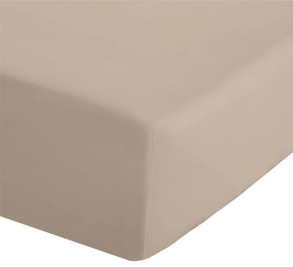 Svetlohnedá napínacia perkálová plachta 135x190 cm Easy Iron Percale – Catherine Lansfield