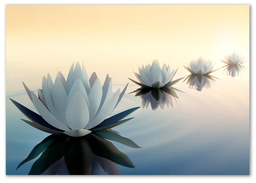 Moderný foto obraz na stenu Kvety lotosu pl-osh-100x70-f-68298321