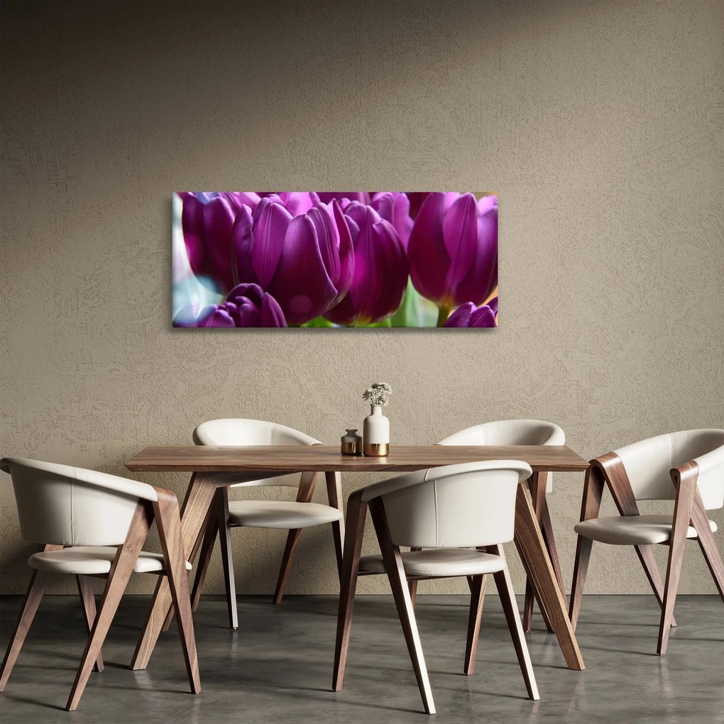 Obraz tulipánov (120x50 cm)
