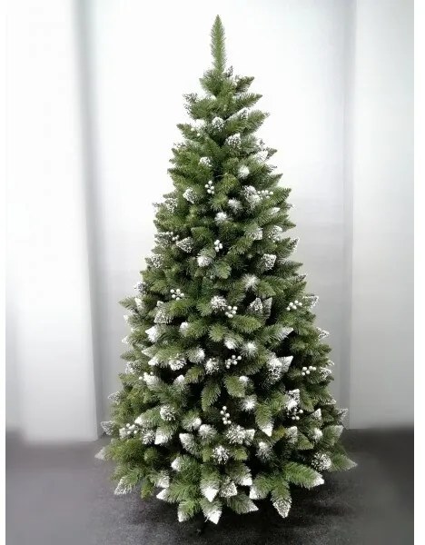 Vianočný stromček- Borovica Iza 240cm