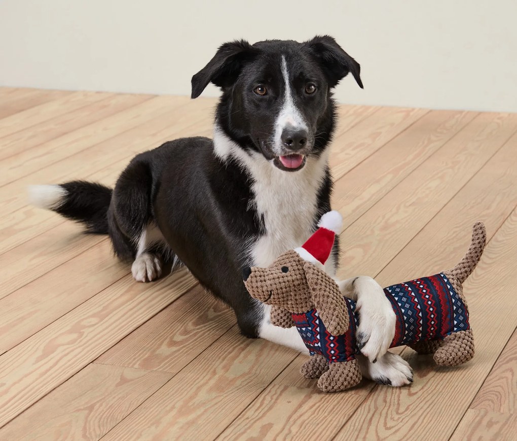 Plyšová hračka pre psy, jazvečík