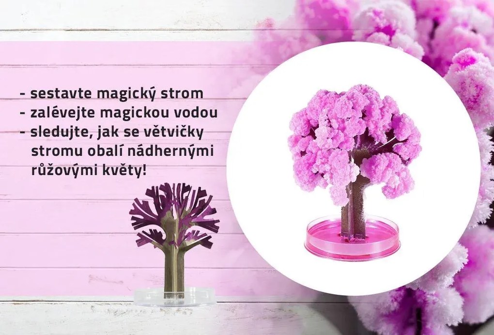 Zaparkorun Magický strom Sakura