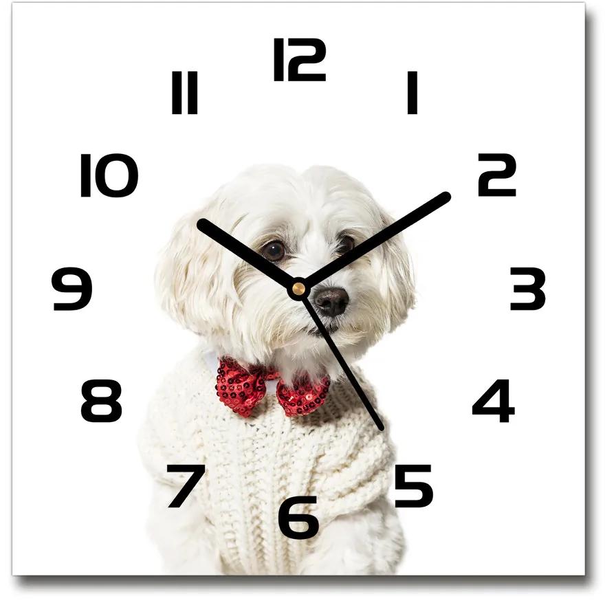 Sklenené hodiny štvorec Maltázský psík pl_zsk_30x30_c-f_190626474