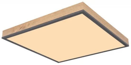 Globo 416080WD2 - LED Stropné svietidlo DORO LED/24W/230V