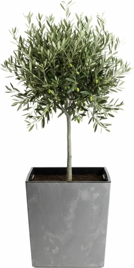 Květináč FLORE Beton 41x39,5x39,5 cm šedý