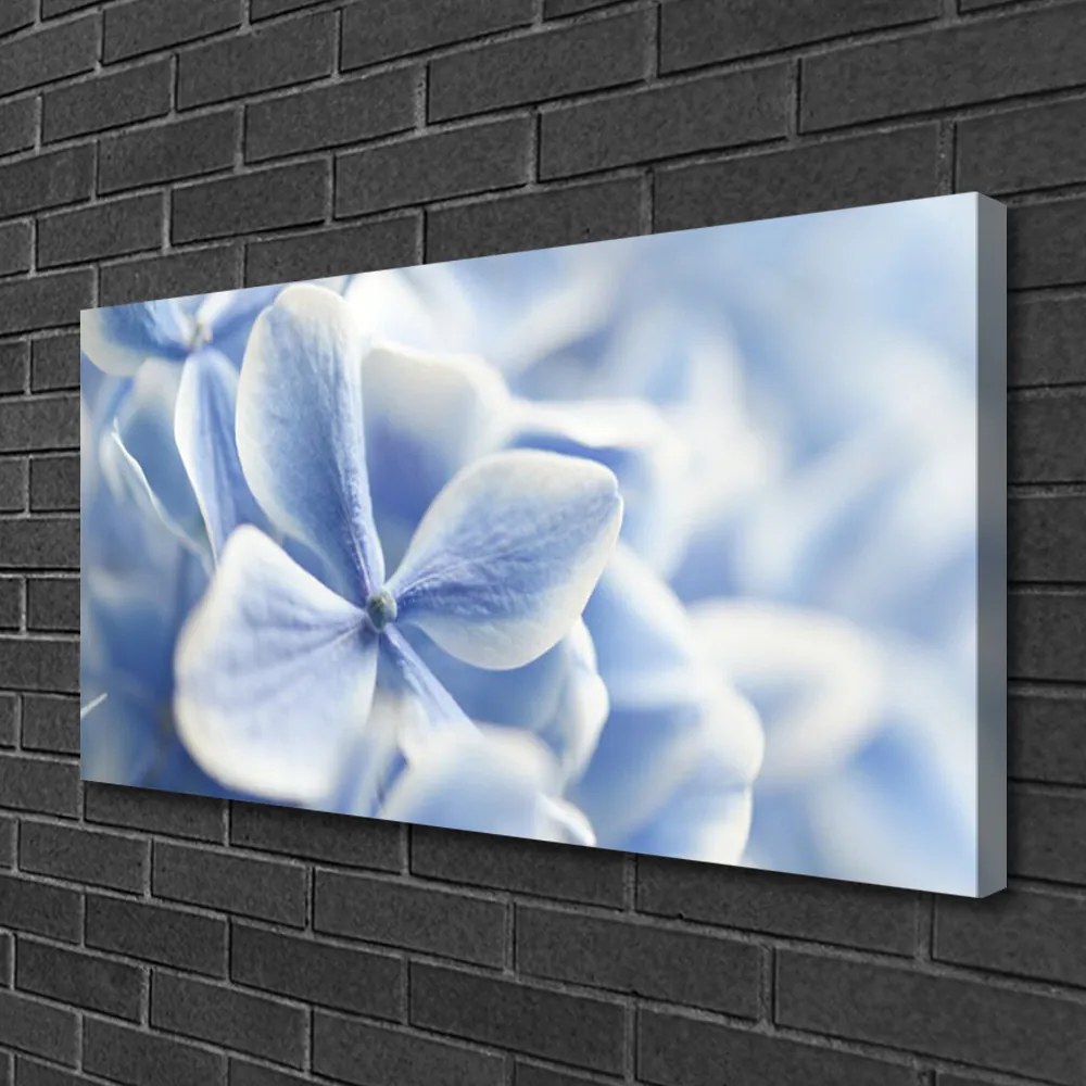 Obraz Canvas Kvety plátky príroda 140x70 cm