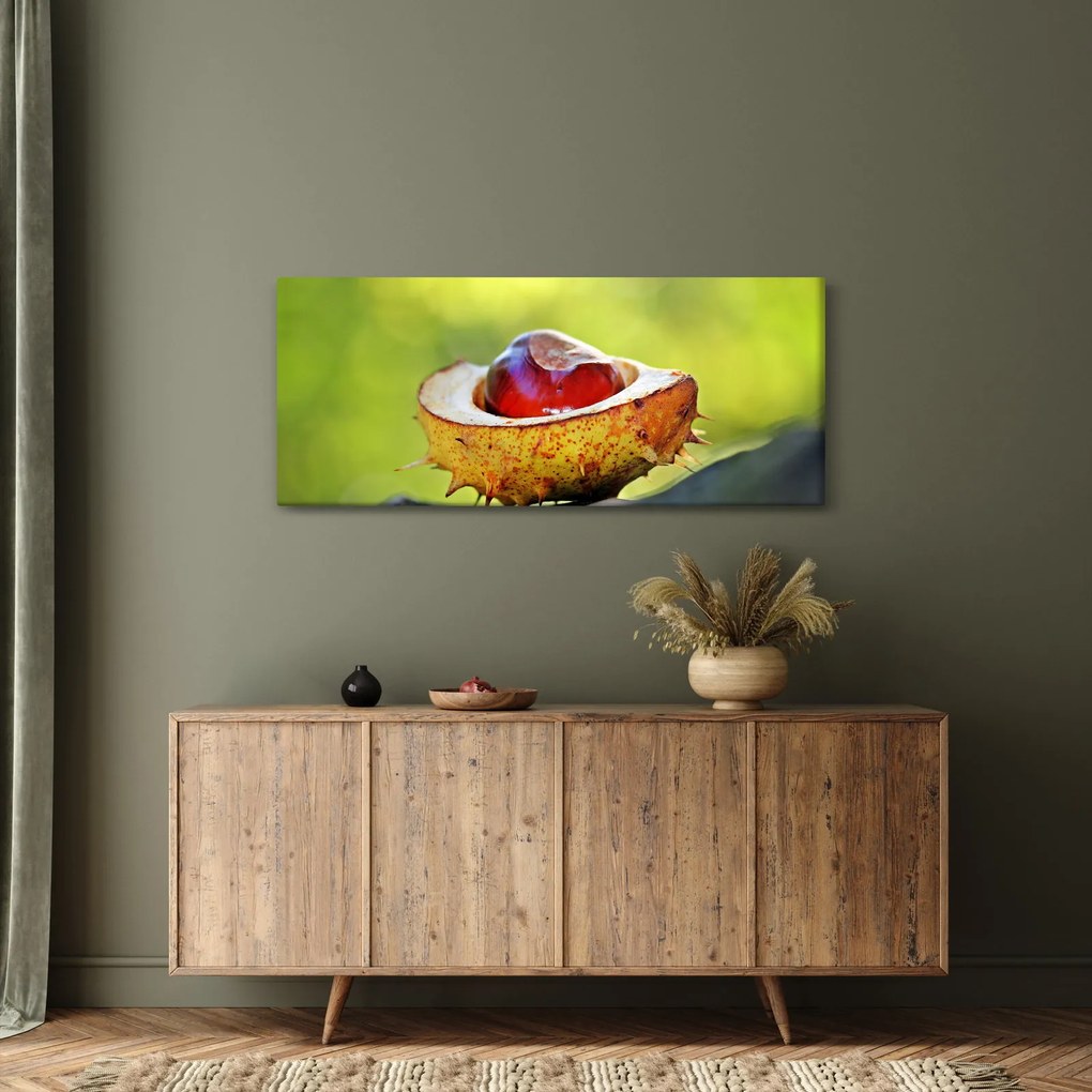 Obraz gaštanov (120x50 cm)
