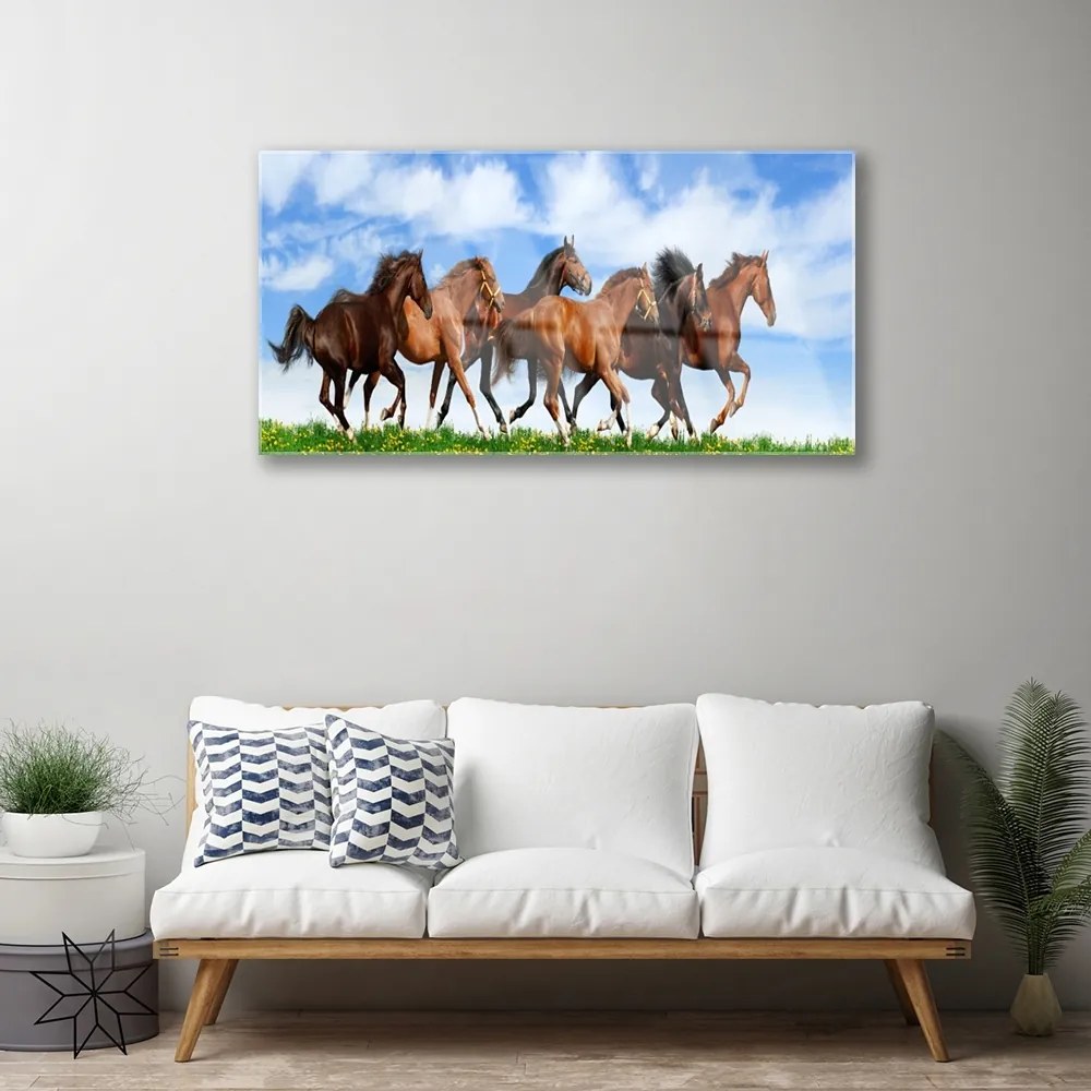 Skleneny obraz Cválajúci kone na pastvine 140x70 cm