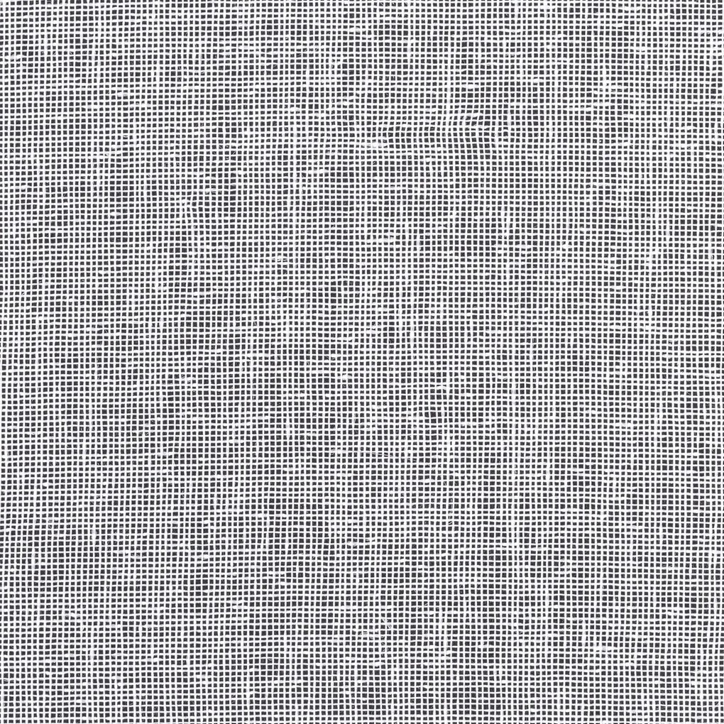 ZÁCLONA NA PÁSKE ELPIDIA 350X250 CM BIELA