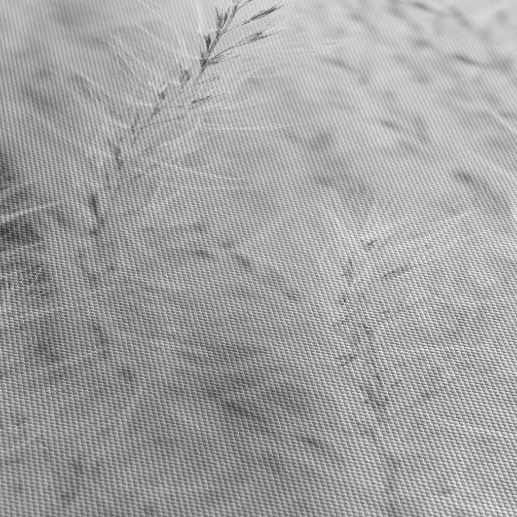 Obraz - Pampas grass N⁰1 (90x60 cm)