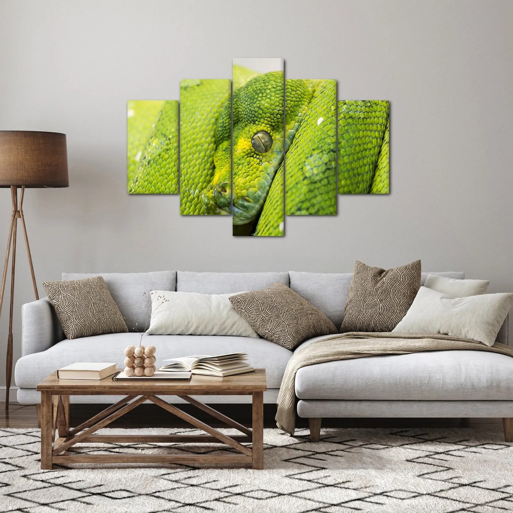 Obraz hada (150x105 cm)