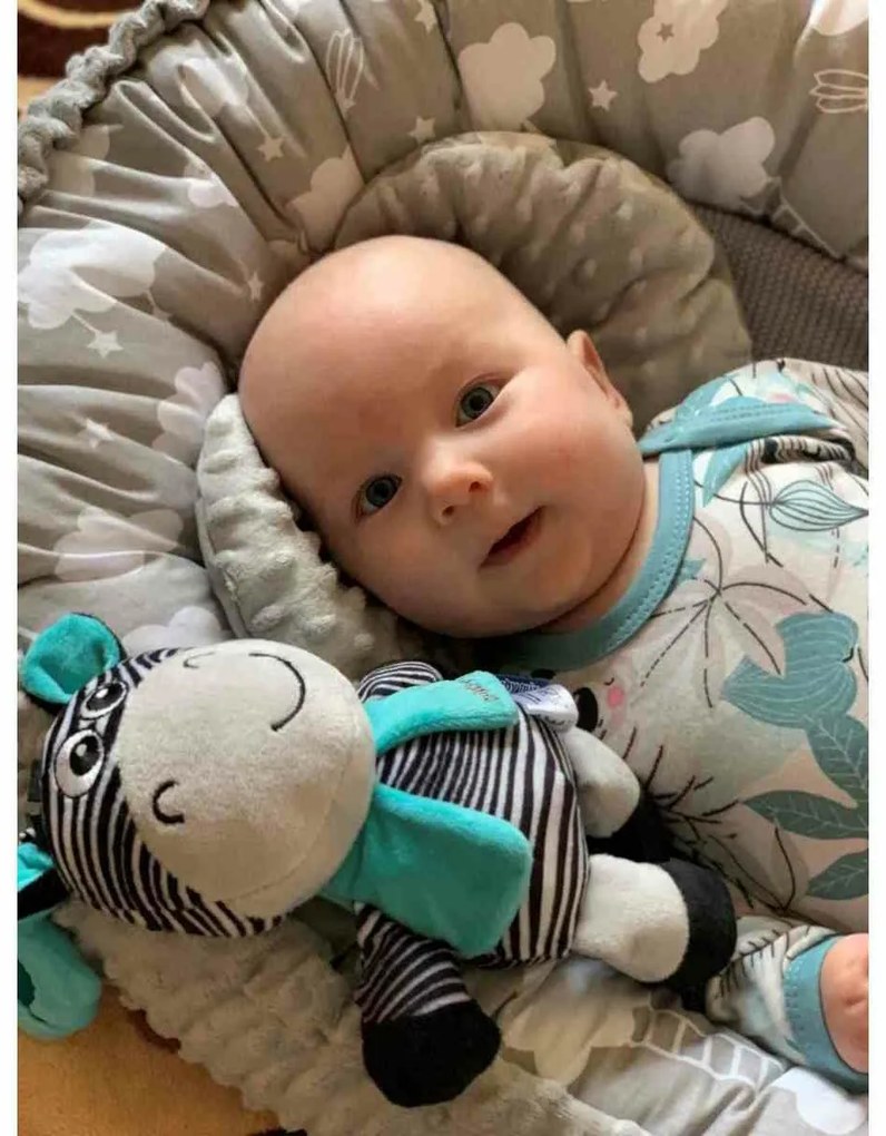 Baby Mix Vzdelávacia plyšová hračka so sponouZebra, 17 cm
