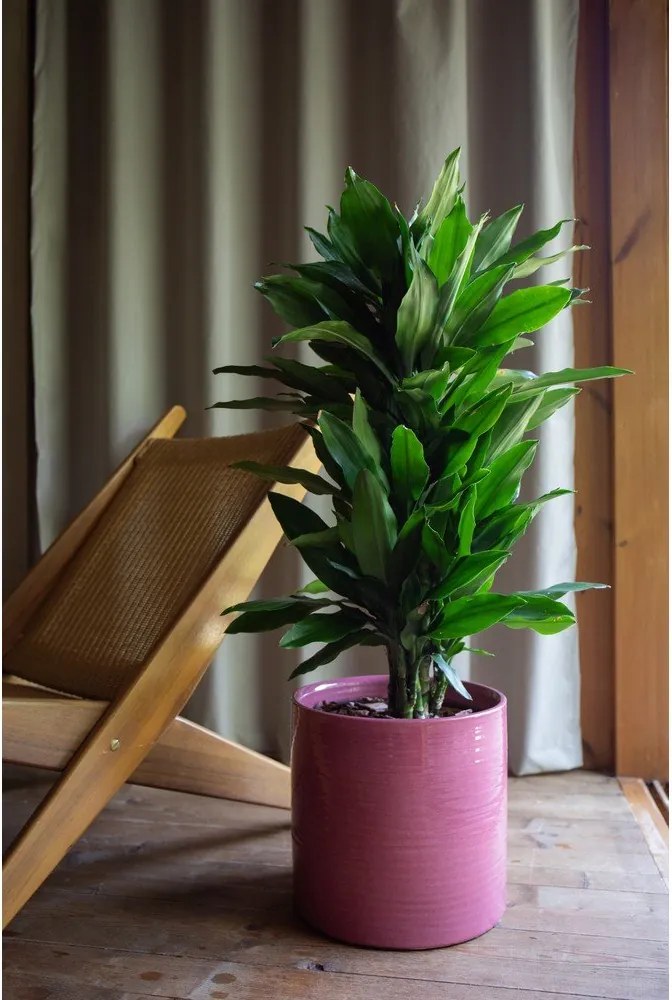 Keramický ručne vyrobený obal na kvetináč ø 18 cm Fortuna – Artevasi