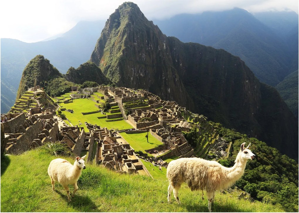 Obraz - Machu Picchu (70x50 cm)