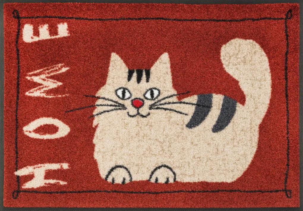 Home- rohožka s mačičkou 50x75 cm