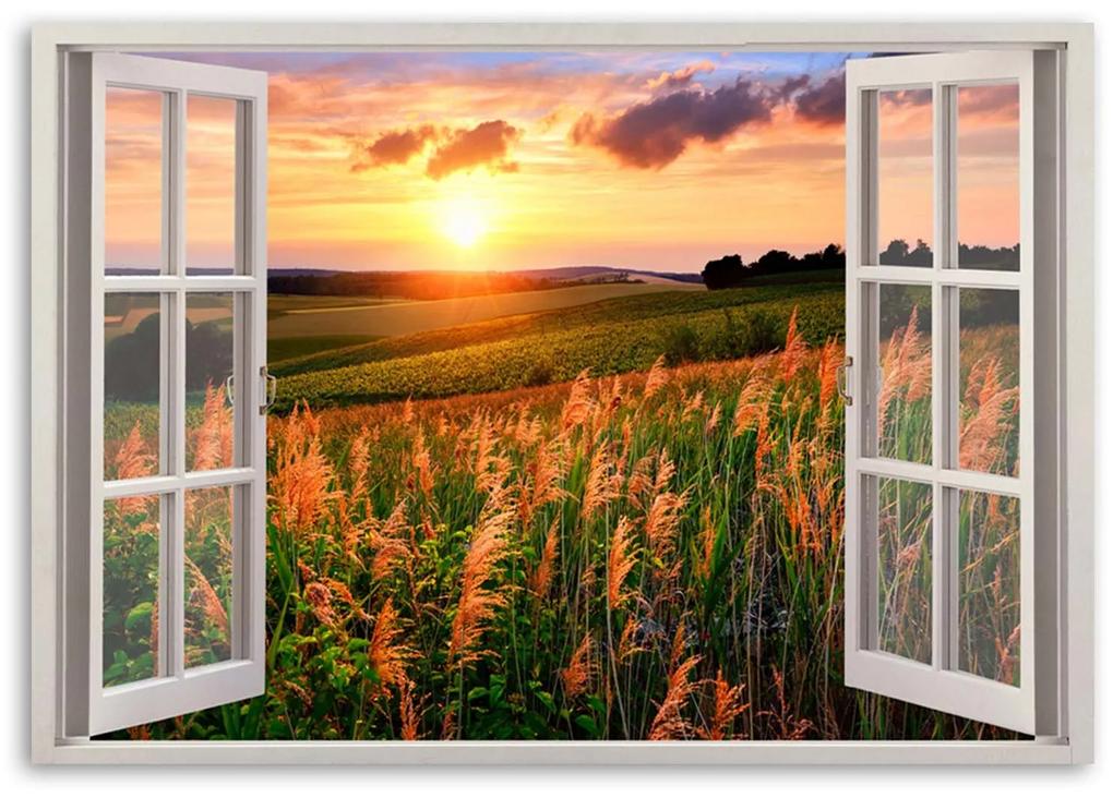 Gario Obraz na plátne Okno - pohľad na pole kvetov Rozmery: 60 x 40 cm