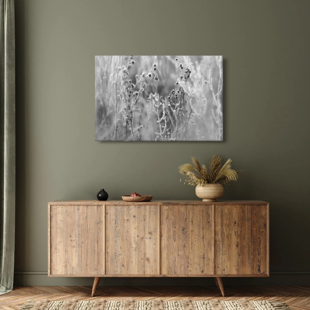 Obraz - Divoká lúka (90x60 cm)