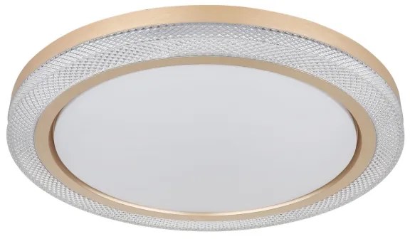 Globo 41372-24 - LED RGBW Stmievateľné stropné svietidlo BOLLY LED/20W/230V + DO