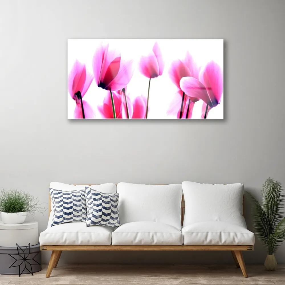 Obraz na skle Kvetiny rastlina 100x50 cm