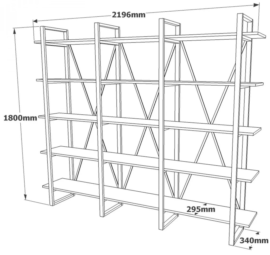 Knižnica Mony borovica atlantická