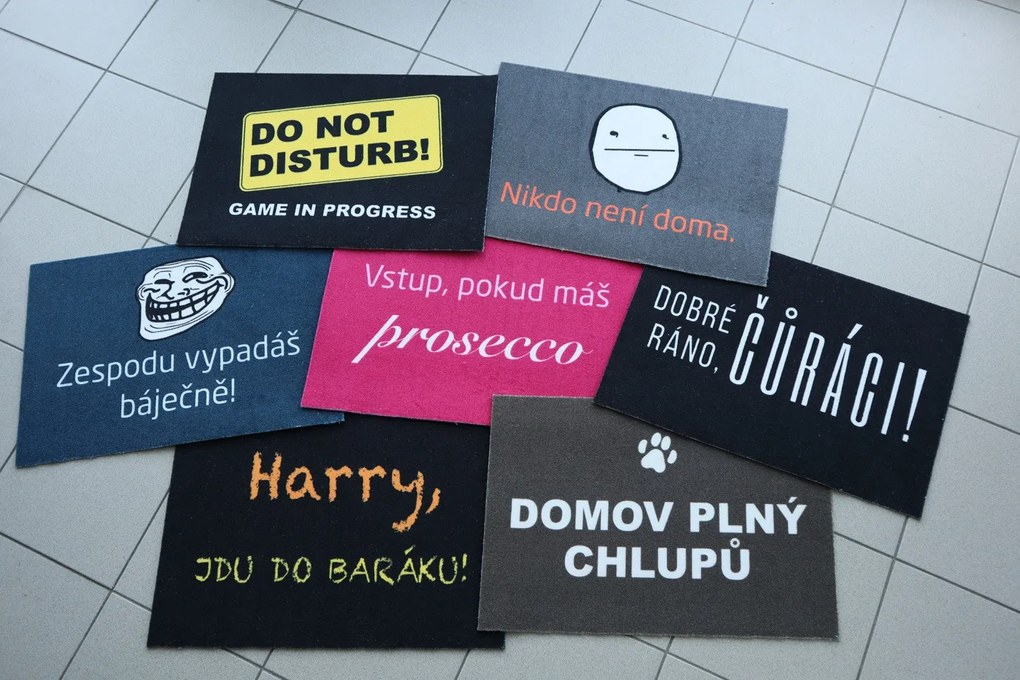 Mercury Flooring, Rohožka Nikto nie je doma 40x60 cm, 40x60, šedá