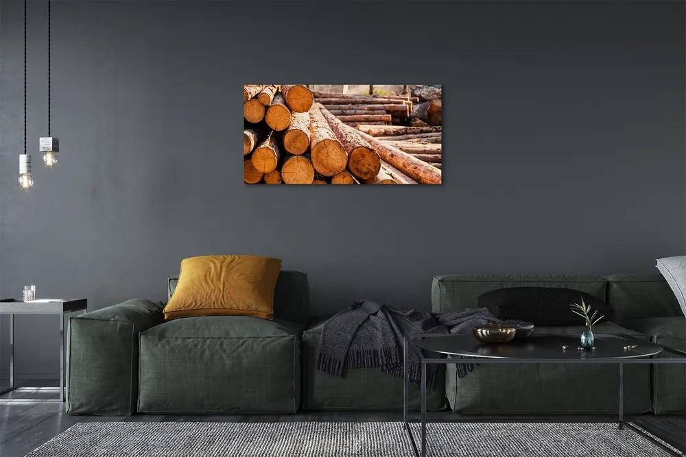 Obraz canvas Drevené guličky 120x60 cm