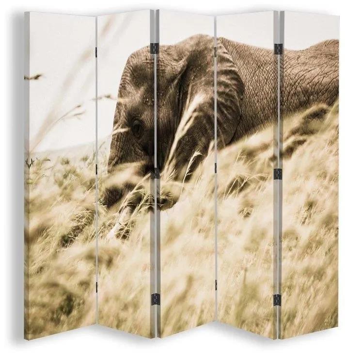 Ozdobný paraván Sloní savana - 180x170 cm, päťdielny, obojstranný paraván 360°