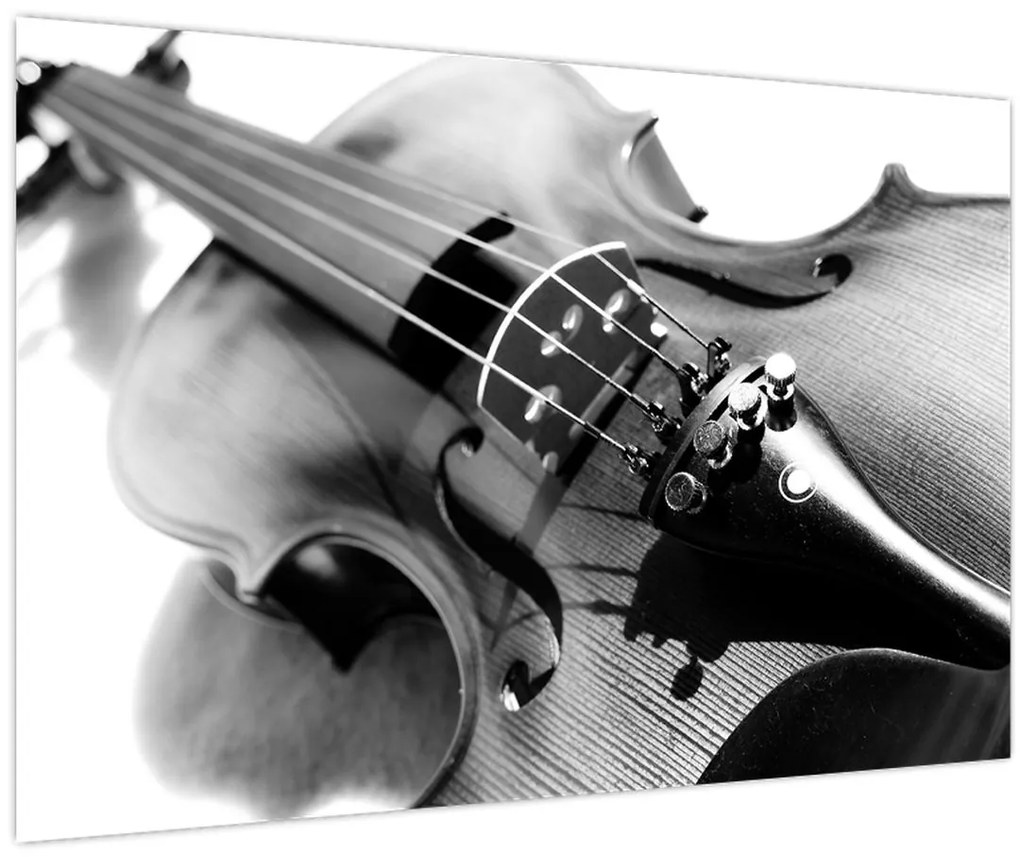 Obraz - Husle (90x60 cm)