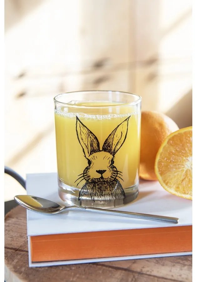 Sklenice na vodu 300 ml Průhledný skleněný kelímek na pití pro králíky - 8,00 cm