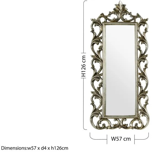 Nástenné zrkadlo 57x126 cm Champagne – Premier Housewares