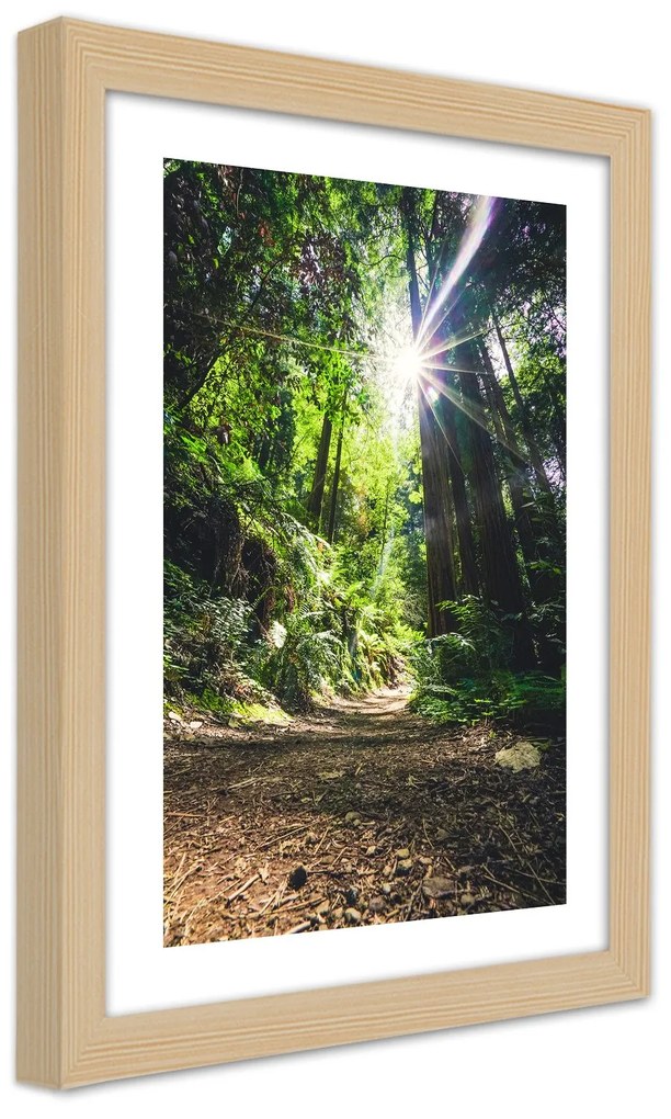 Gario Plagát Cesta v hustom lese Farba rámu: Bez rámu, Rozmery: 30 x 45 cm
