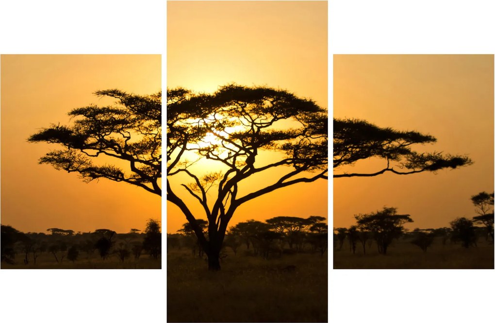Obraz - Africká savana (90x60 cm)