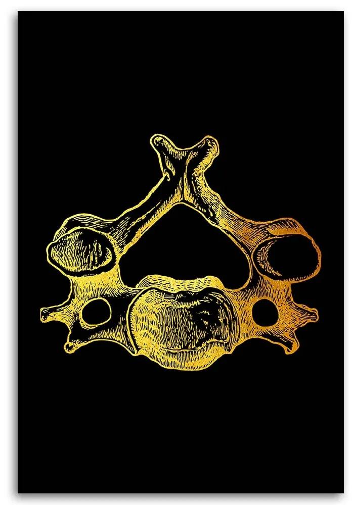 Gario Obraz na plátne Zlatá anatómia, chrbtový stavec - Gab Fernando Rozmery: 40 x 60 cm