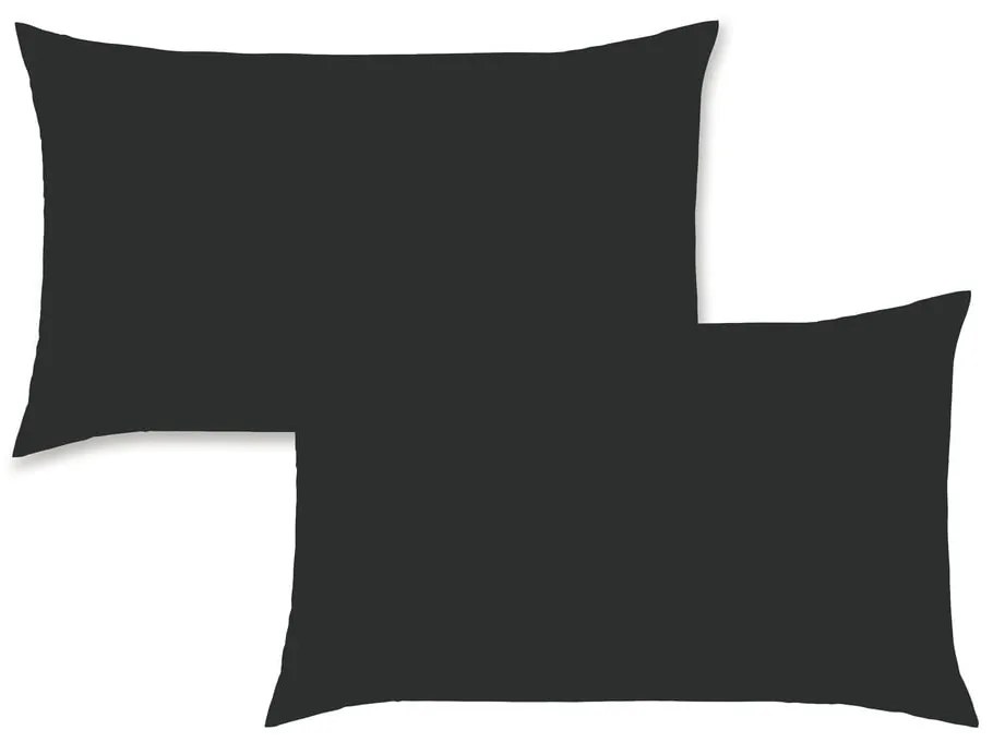 Perkálové obliečky na vankúše v súprave 2 ks 75x50 cm Easy Iron Percale – Catherine Lansfield