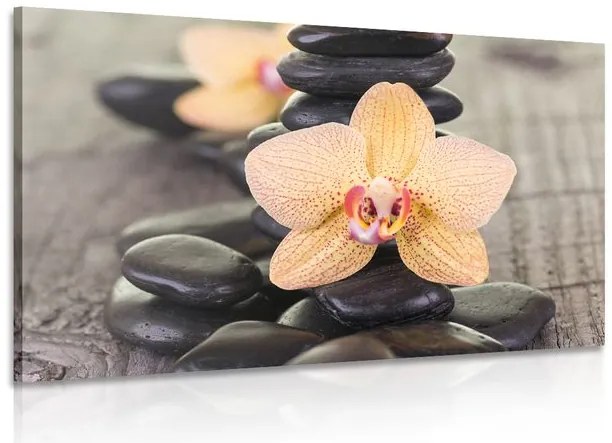 Obraz žltá orchidea a Zen kamene